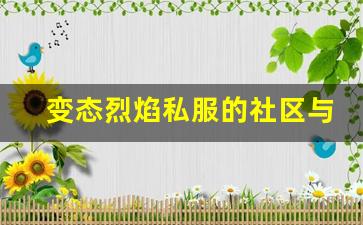变态烈焰私服的社区与玩家互动体验