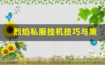 烈焰私服挂机技巧与策略分享