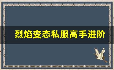 烈焰变态私服高手进阶：从新手到传奇