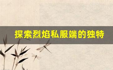 探索烈焰私服端的独特玩法与多元化选择