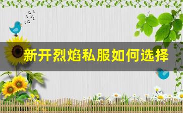 新开烈焰私服如何选择最适合你的服务器