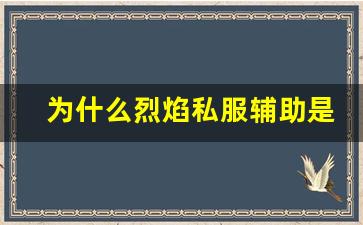 为什么烈焰私服辅助是玩家必备的工具